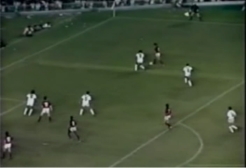 Фламенго - Сантос (Финал чемпионата Бразилии 1983 года)